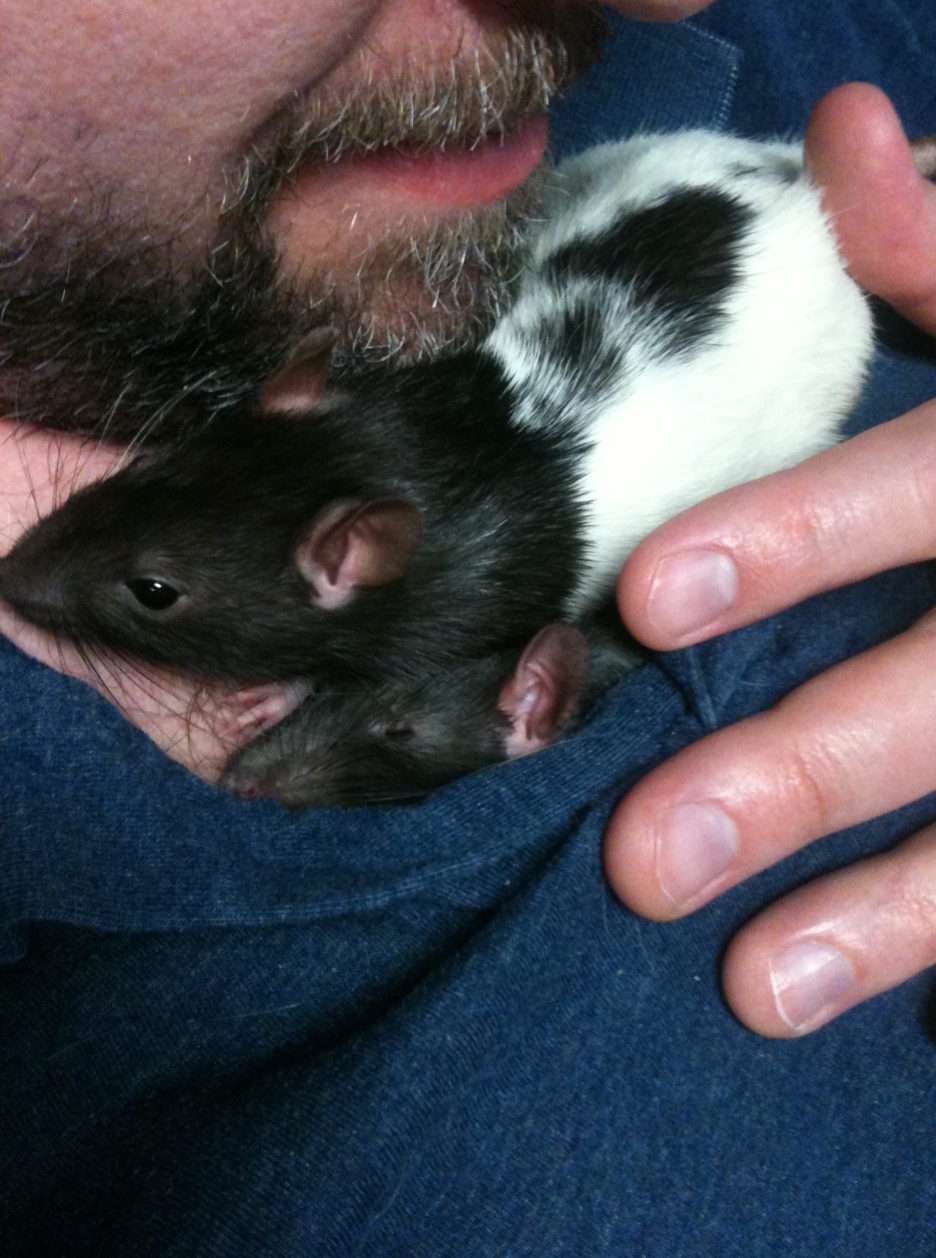 Pepper