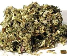 Mugwort, Artemesia vulgaris, dreams, projection, at Conjure Work, herbs, magick, Golden Dawn, Solomonic, sorcery