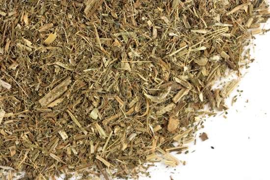 Blessed Thistle herb (Carduus benedictus) at conjurework.com