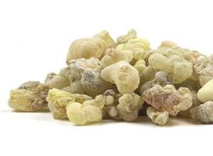 Frankincense (Boswellia carteri) at conjurework.com