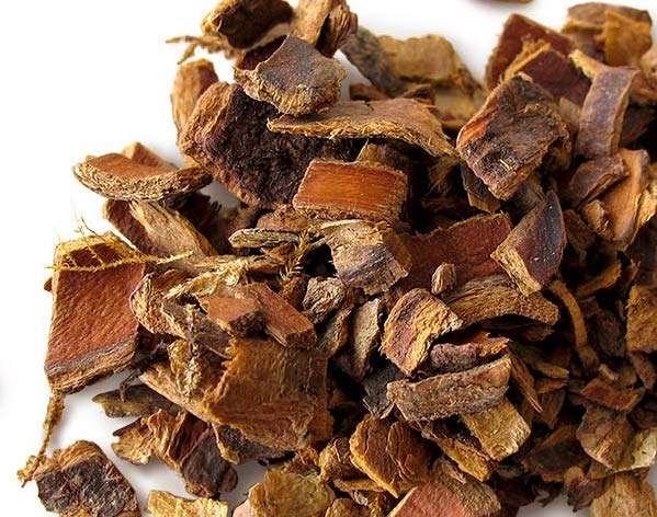 Cascara Sagrada for court case spells, at Conjure Work, Hoodoo products by Magus (Kevin Trent Boswell Hoodoo)