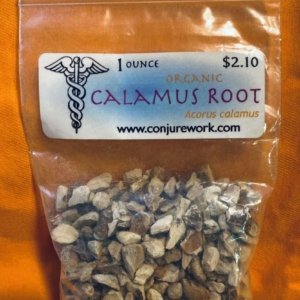 Calamus Root, Acorus calamus, Saturn sorcery, Conjure Work, herbs, magick, Golden Dawn, Solomonic, Wicca, astrology