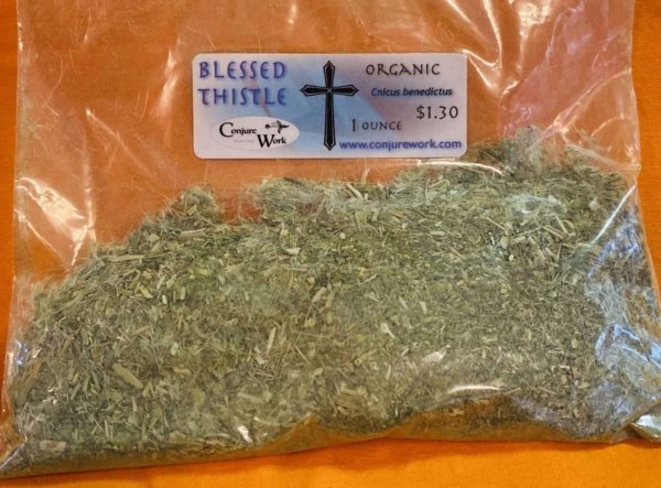 Blessed Thistle, Cnicus benedictus, sorcery, Conjure Work, herbs, magick, Golden Dawn, Solomonic, Wicca, astrology