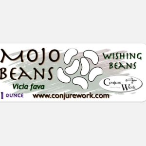 Mojo Beans - Vicia fava - wishing beans