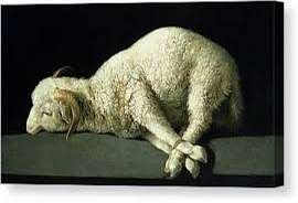 Animal Sacrifices?