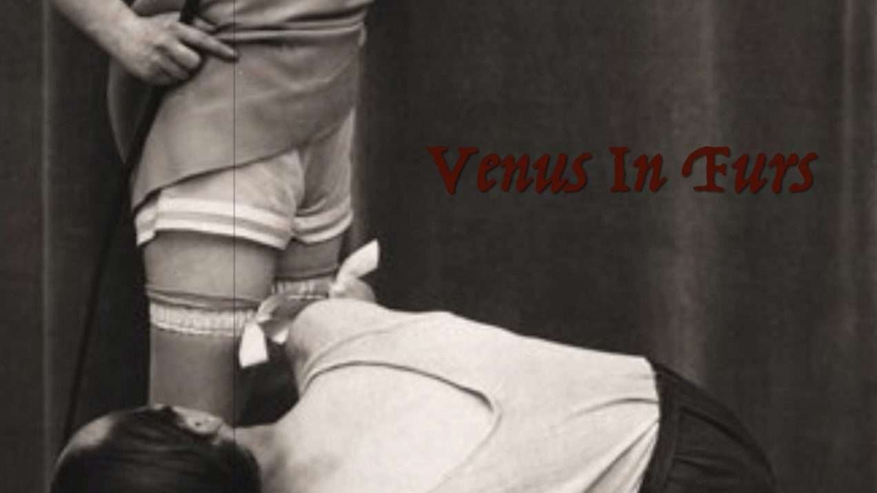 Venus In Furs - cover of The Velvet Underground, Lou Reed - The Music of Magus