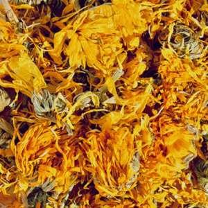 Calendula - Marigold - Calendula officinalis